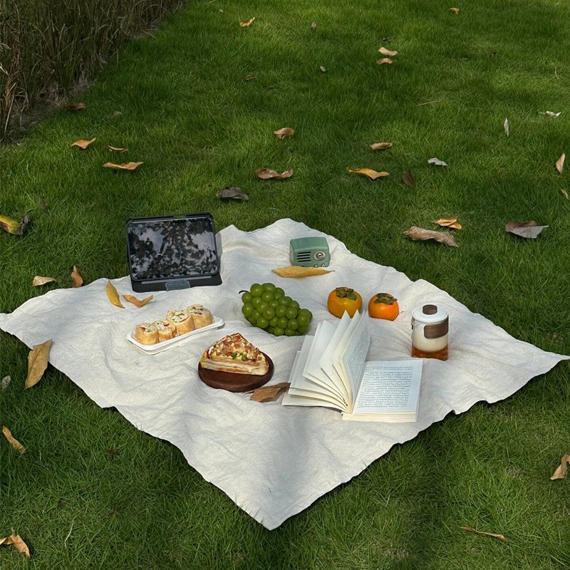 spring mats for picnics, ins, camping equipment, with a thick mattress to take pictures of the tablecloths