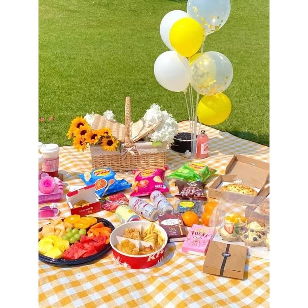 A picnic mat with a thick spring picnic and a camping pad with a camping tent for a picnic