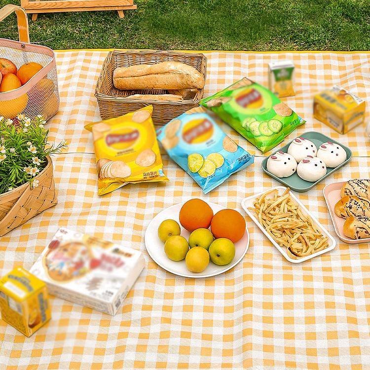 A picnic mat with a thick outdoor picnic, waterproof, and a spring field trip can fold the picnic cloth