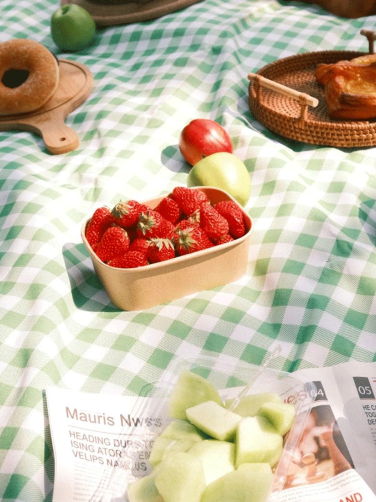 A picnic pad with a hot-tide pad to camp outdoors and a beach steved music conservator