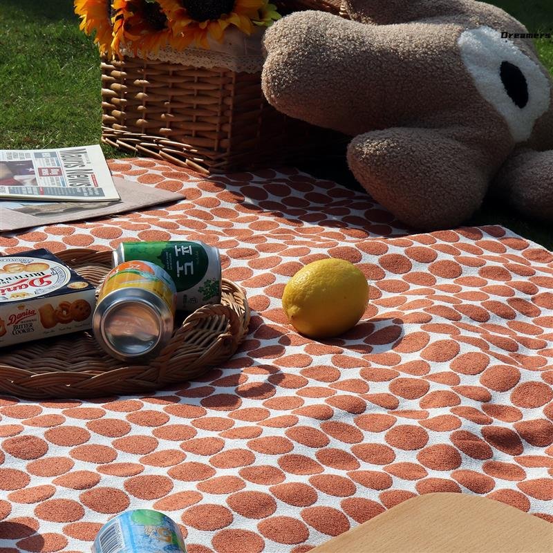 The outdoors camp against the tides of the picnic, and the springs of the Spring Ride Park