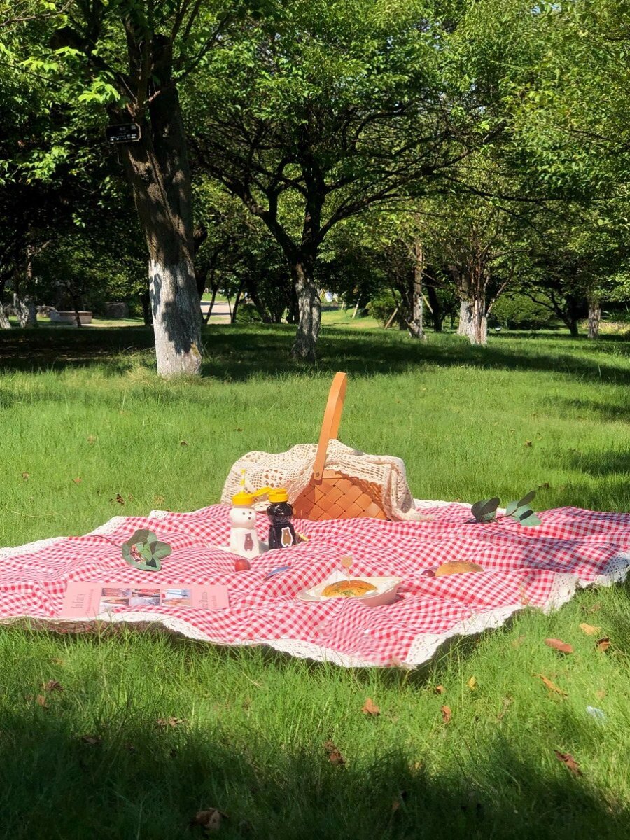 A picnic mat, a picnic mat, a field camping camp, with a moist floor cushion and a collage