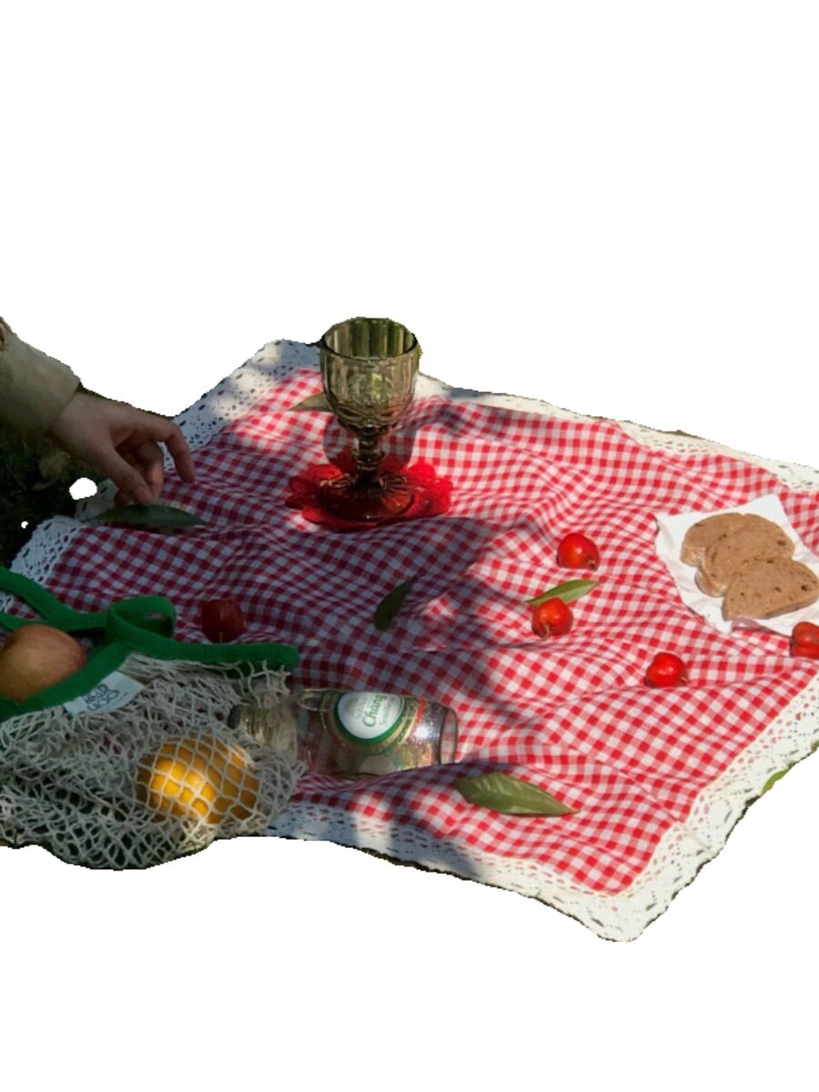 A picnic mat, a picnic mat, a field camping camp, with a moist floor cushion and a collage