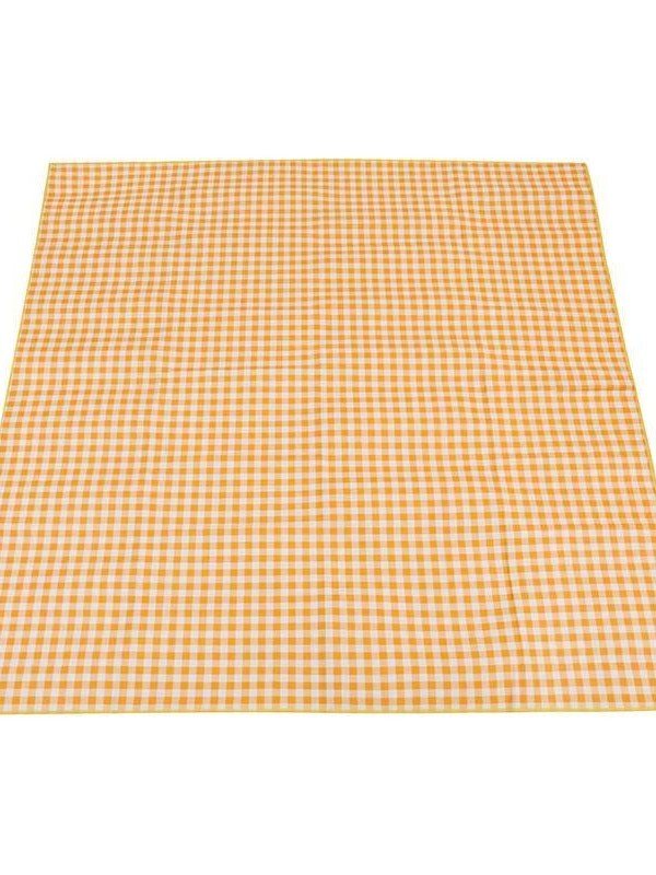 A picnic mat for the outdoor cooking camp tent with water and camping mats for the field