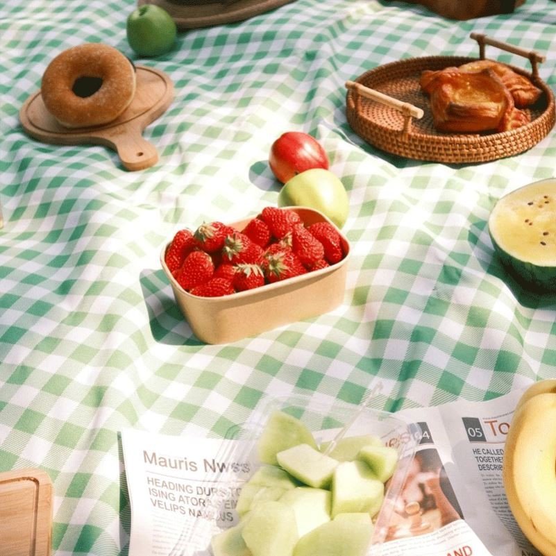 A picnic pad with a hot-tide pad to camp outdoors and a beach steved music conservator