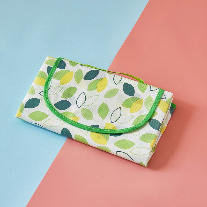 Outdoor picnic mats with thick water-grass beach tent pads with field picnic photographs