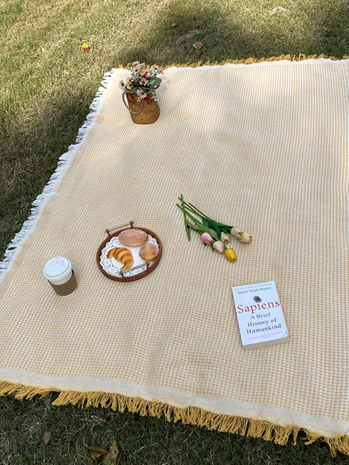 camping picnic pads with ins picnic cloths, hot-tide tents, beach blankets, french picnic pads