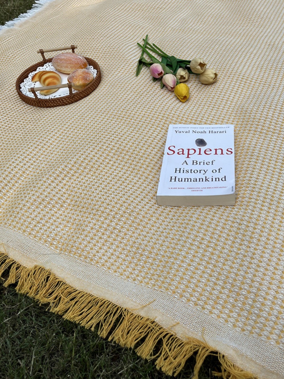 camping picnic pads with ins picnic cloths, hot-tide tents, beach blankets, french picnic pads