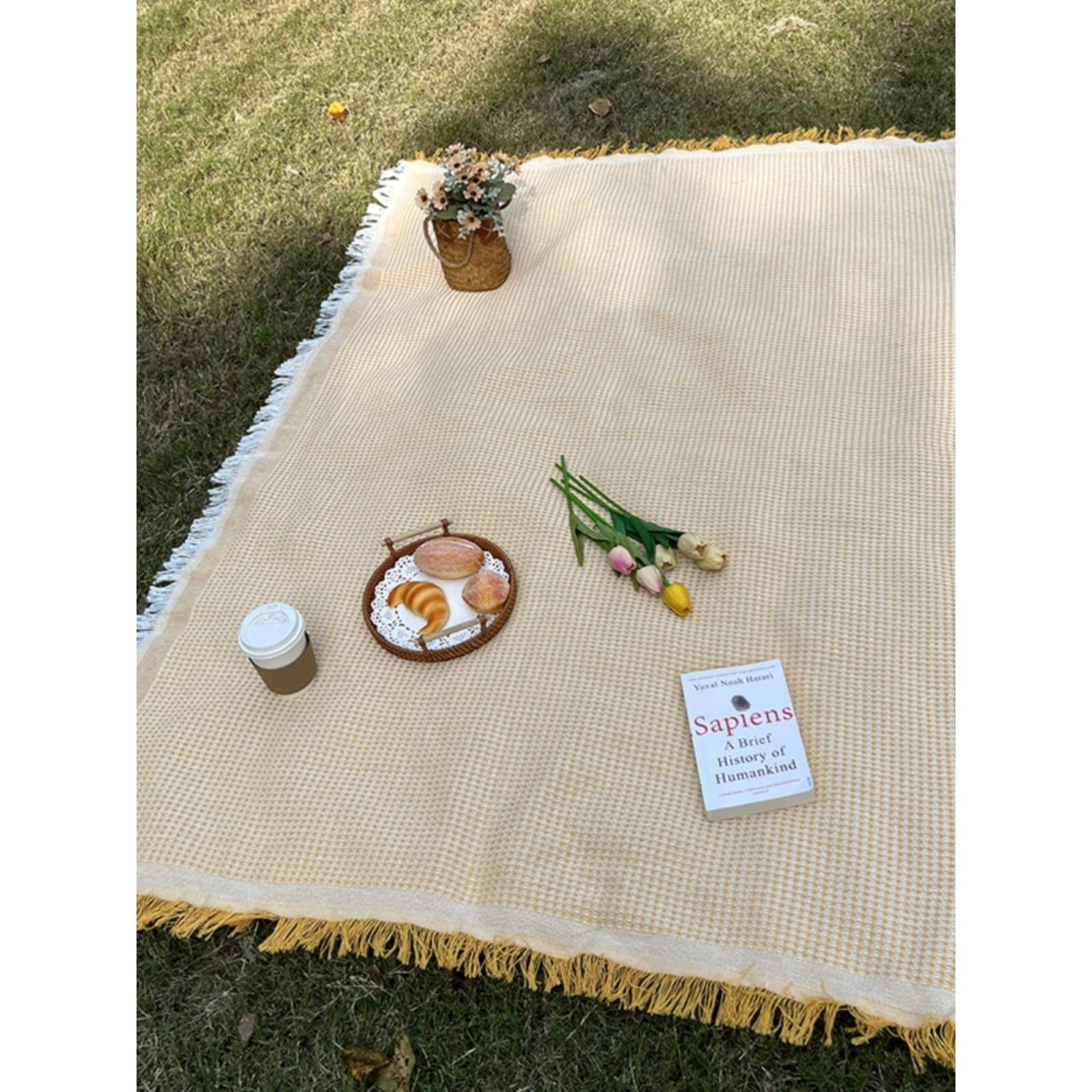 Out-of-the-house picnic mats with French-style and thick-photographed beach mats with white carpets of grass