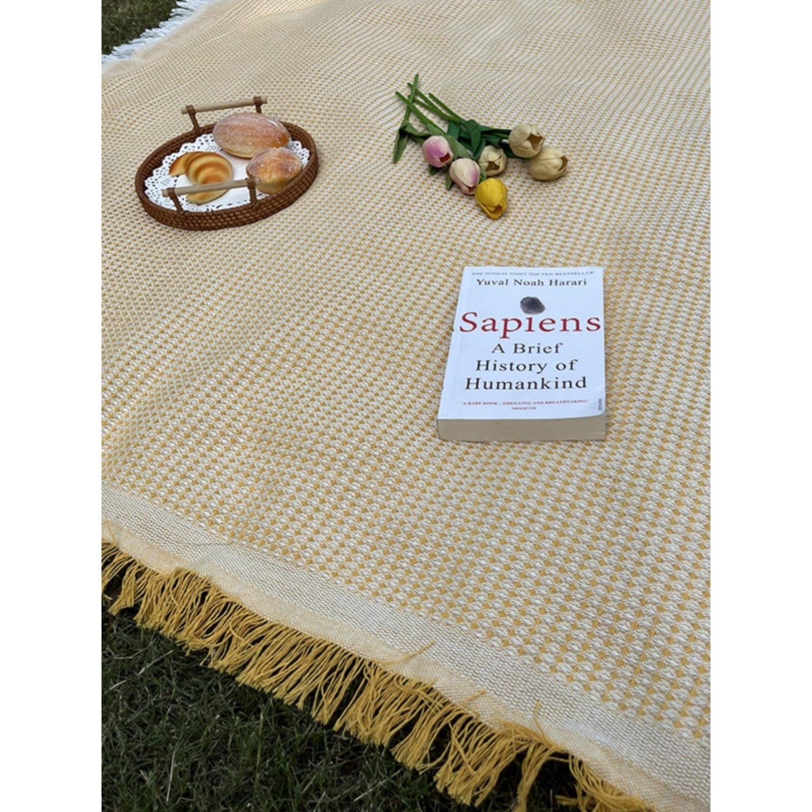 Out-of-the-house picnic mats with French-style and thick-photographed beach mats with white carpets of grass