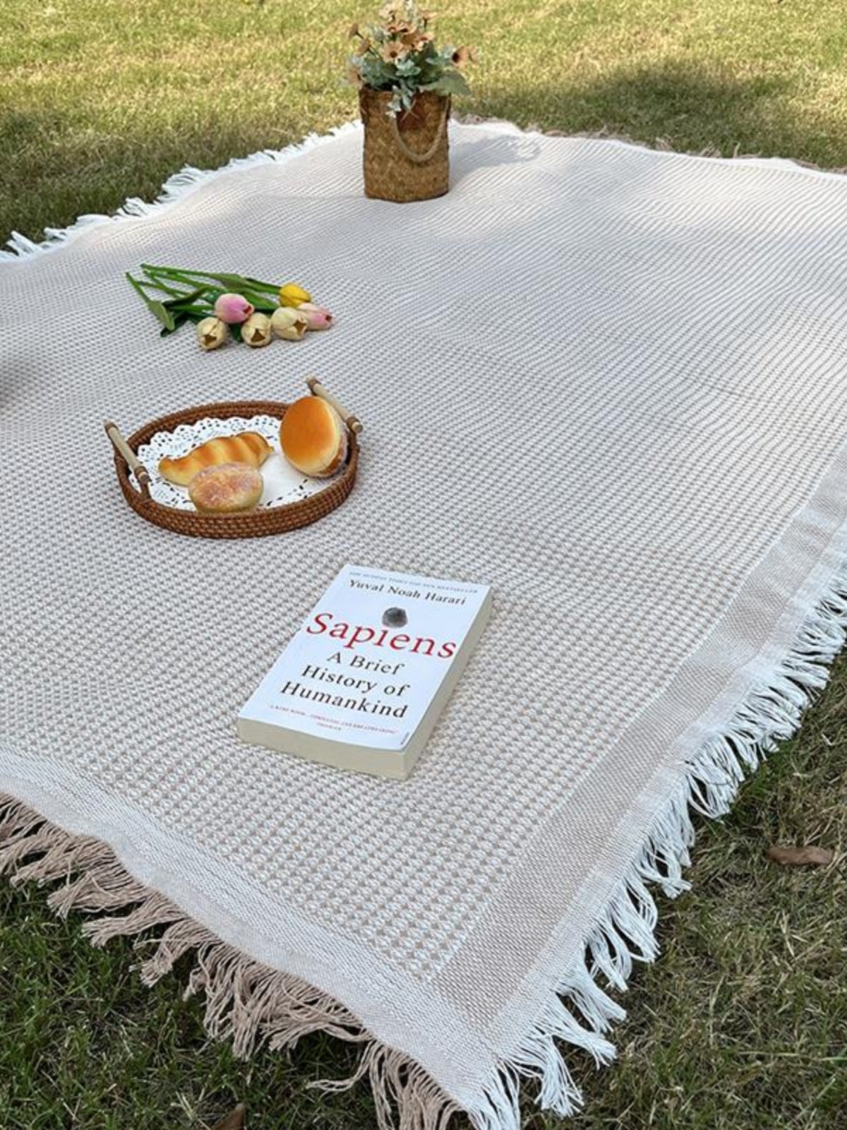 a picnic mat outside the house, with a thicker lawn, and a beach mat for the bonnet music festival