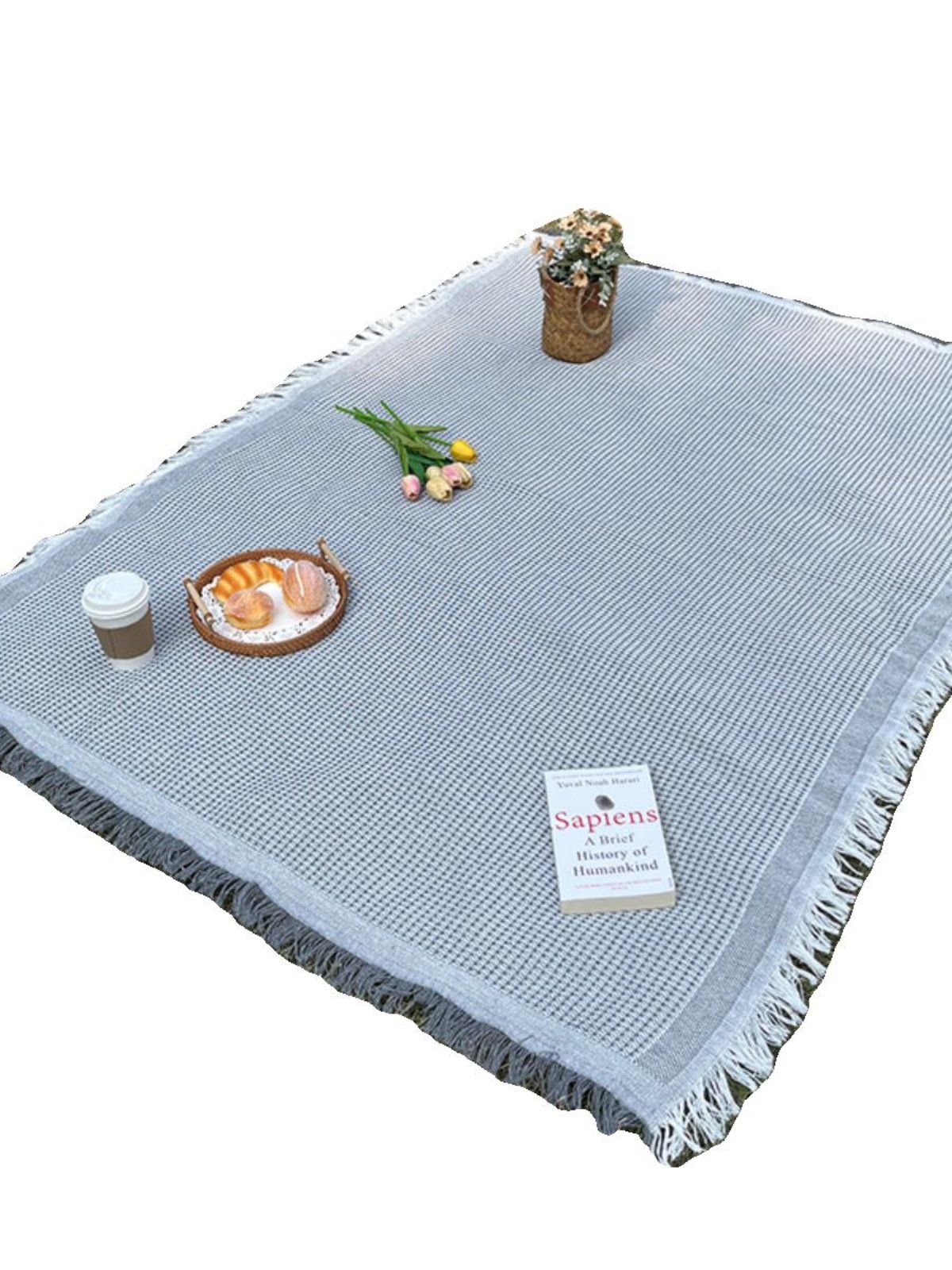 a picnic mat outside the house, with a thicker lawn, and a beach mat for the bonnet music festival