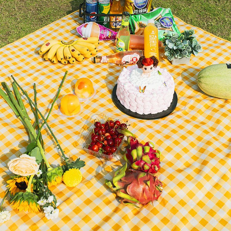 A picnic mat outside the field, with water and a thick, wild lawn and spring camp
