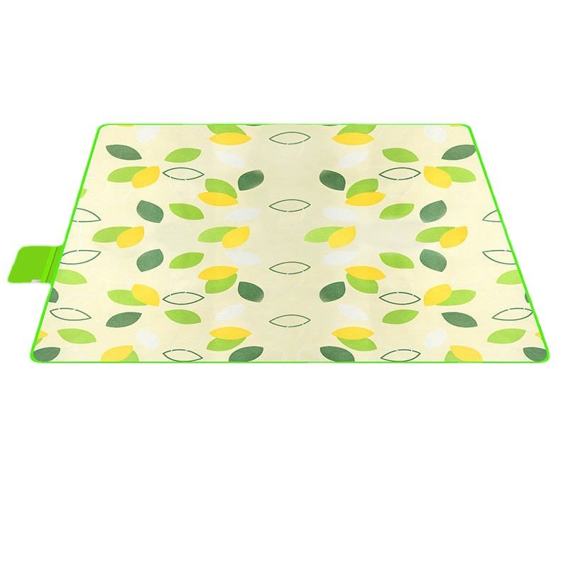 A picnic mat outside the field, with water and a thick, wild lawn and spring camp