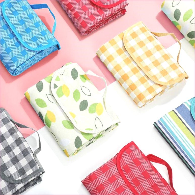 A picnic mat for the outdoor cooking camp tent with water and camping mats for the field