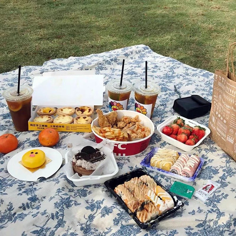 French outdoor picnics, bouquets, bouquets and damp cushions, and a thick damp-protected beach blanket