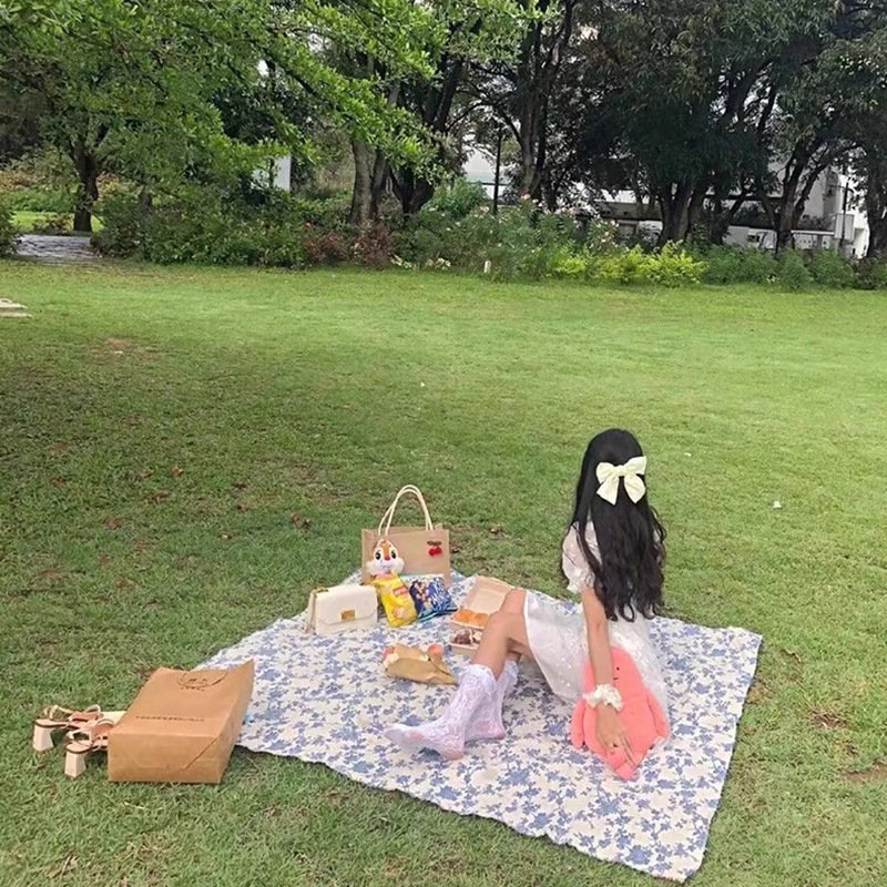 French outdoor picnics, bouquets, bouquets and damp cushions, and a thick damp-protected beach blanket