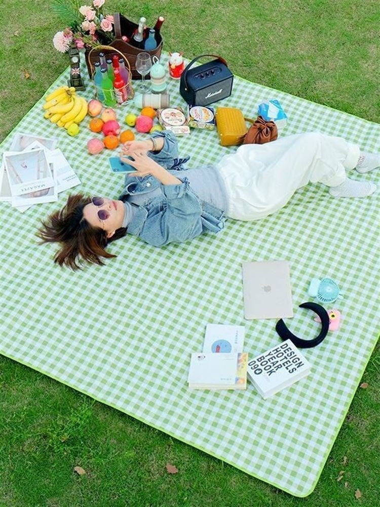 A picnic mat for the outdoor cooking camp tent with water and camping mats for the field