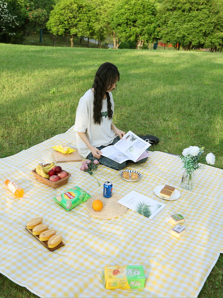 A picnic mat against the water lawn mats and a beach tent pad with a damp and thick outdoor picnic cloth