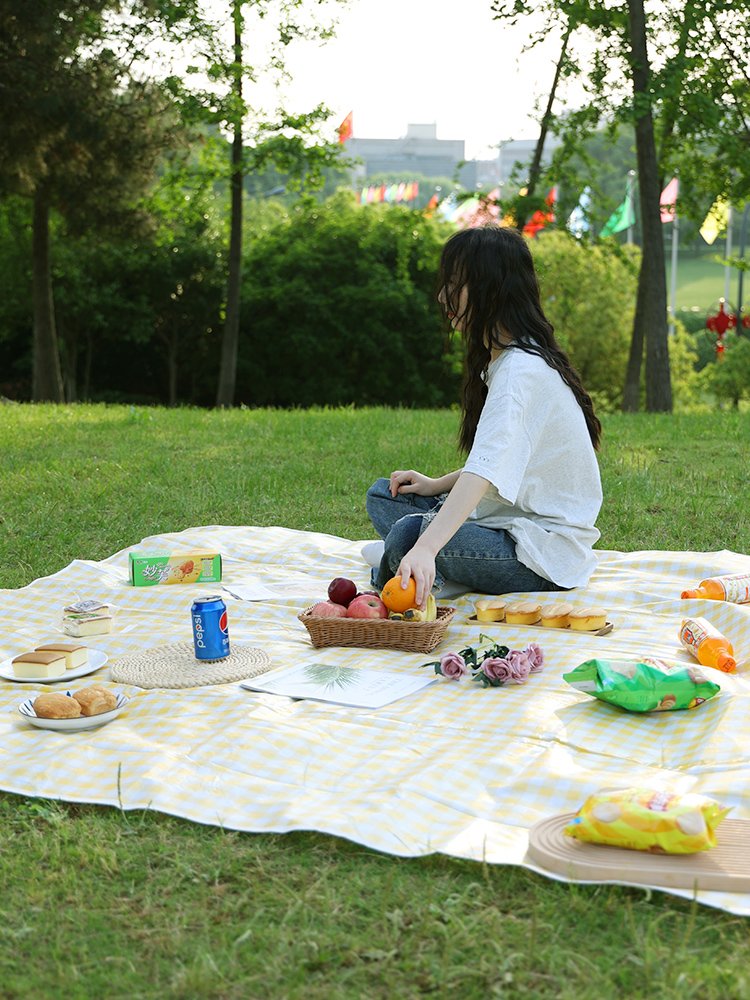 A picnic mat against the water lawn mats and a beach tent pad with a damp and thick outdoor picnic cloth
