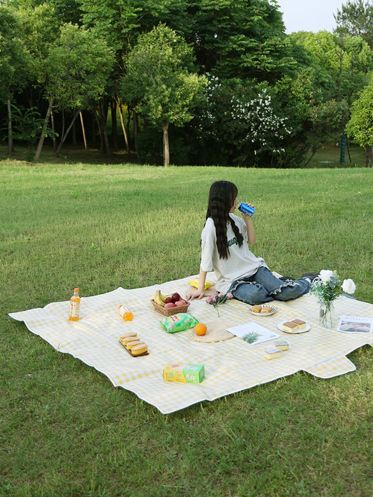 A picnic mat against the water lawn mats and a beach tent pad with a damp and thick outdoor picnic cloth
