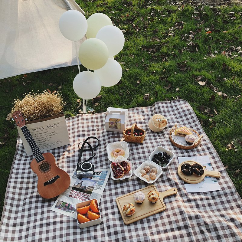 A picnic mat for the tiding camper and a mat for the beach and a watery lawn and spring festival