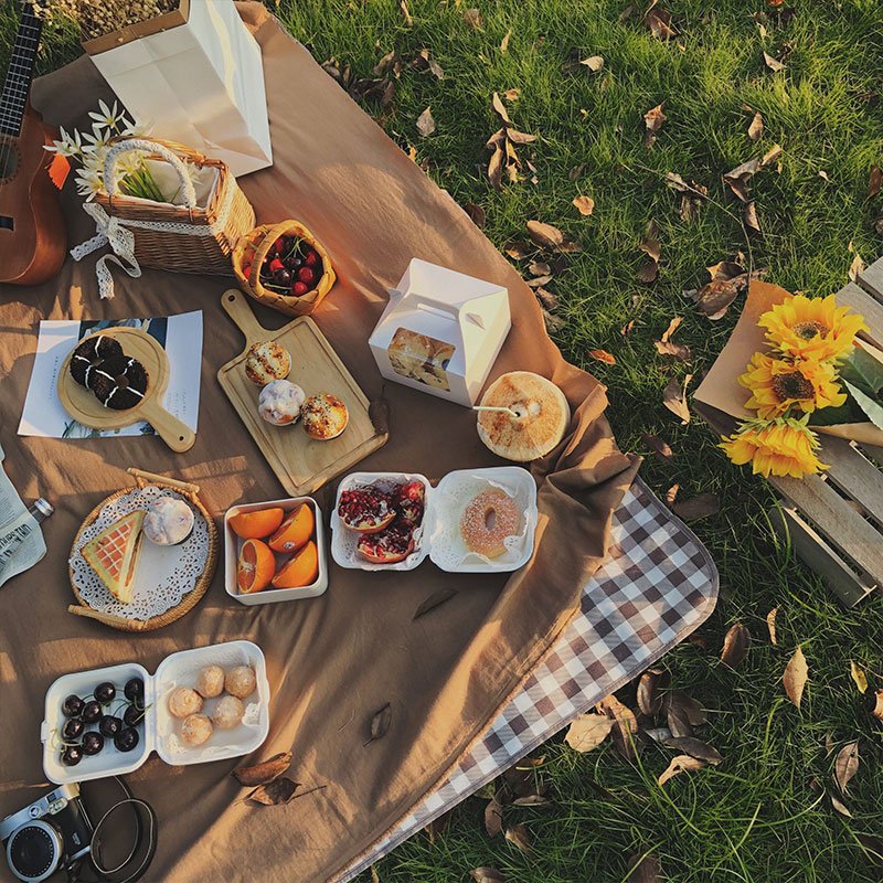 A picnic mat for the tiding camper and a mat for the beach and a watery lawn and spring festival