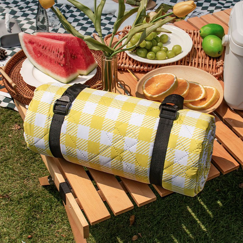 An ultrasound picnic pad with a thick watery lawn and beach outdoor camping pads
