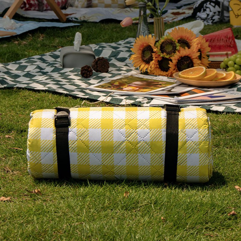 An ultrasound picnic pad with a thick watery lawn and beach outdoor camping pads