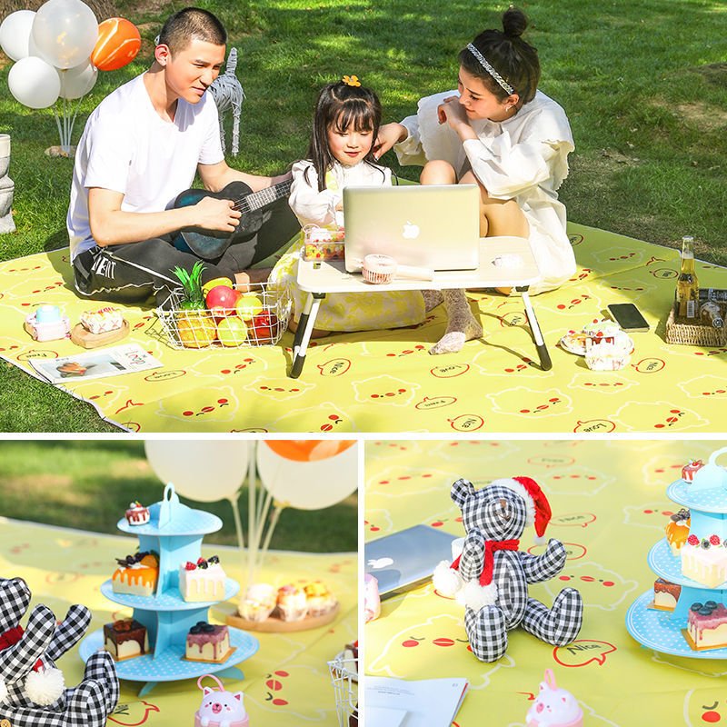 the picnic pads, the wind and heat, go out to the camp beach tent, and the watery lawn