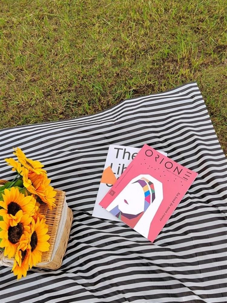 a striped picnic on a beach with a waterproof, sand-proof, open-sea-side camping pavilion with a tablecloth