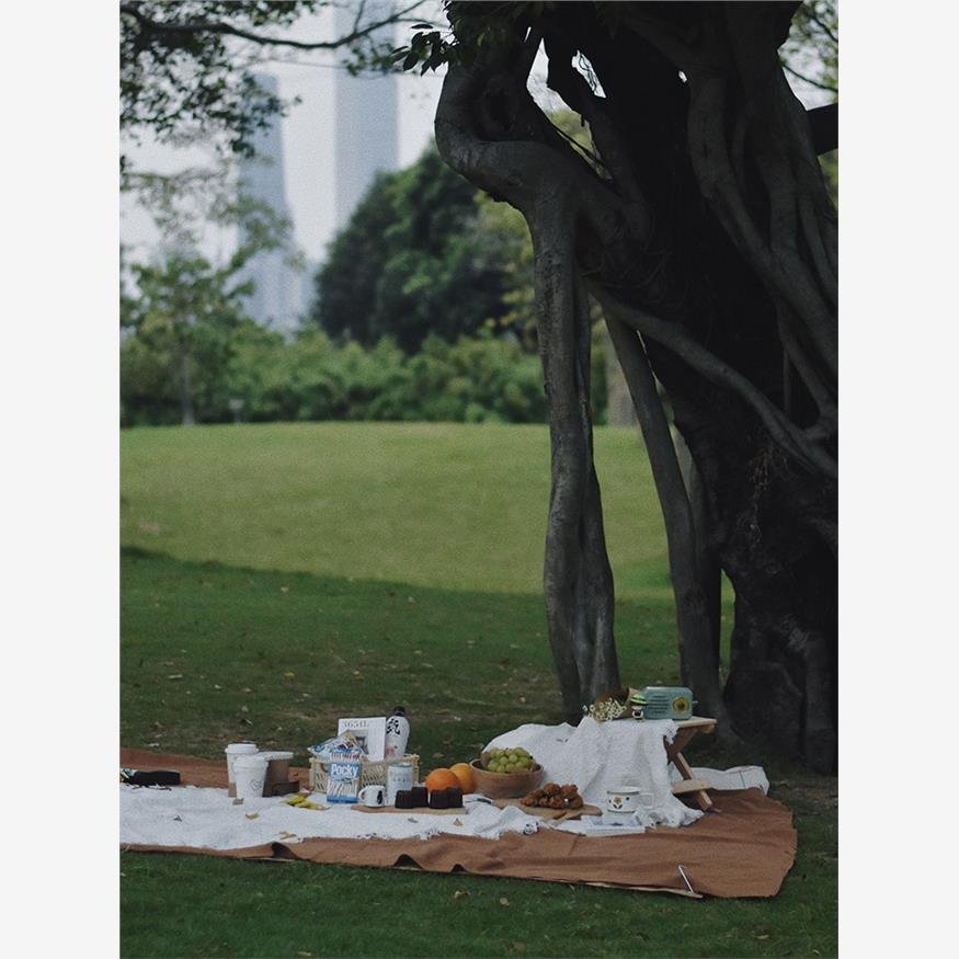 A picnic mat against the tide-proof outdoor camping of the French picnic