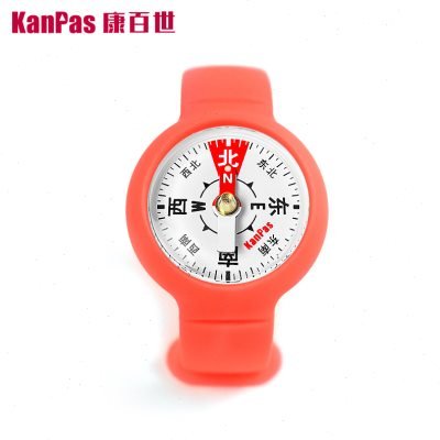 The kampas guide for primary school students points north to the science mathematics tutorial