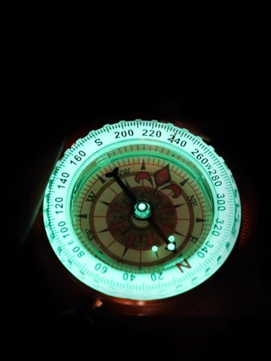 A mini-operate with a compass car pointing at the multifunctional nature of the adult children's tour on the northern compass