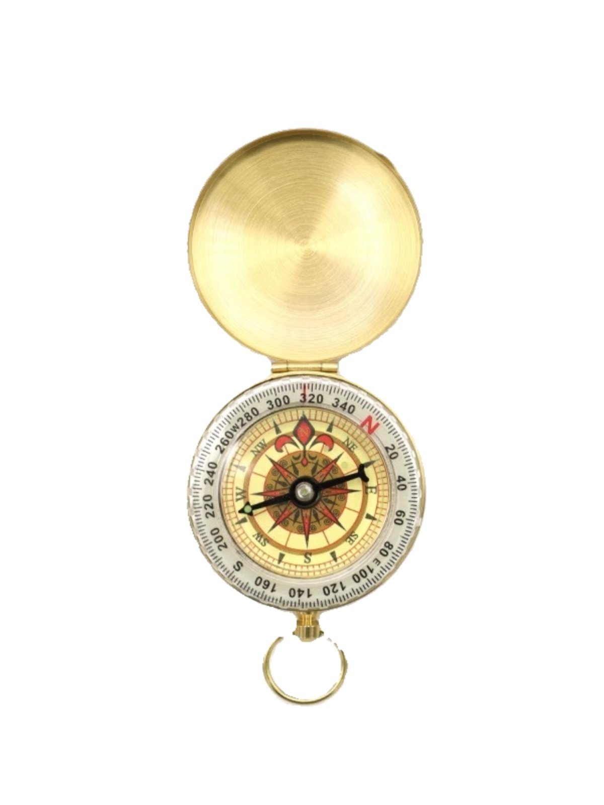 BRONZE POINTS TO THE NORTHERN PIN, AND THE G50 TURQUOISE PENDULUM COMPASS COVERS THE NIGHT