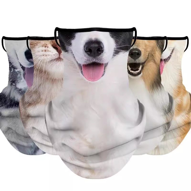 Outdoor turban-protected animal, dog and cat, riding up the mountain to catch a fish triangle