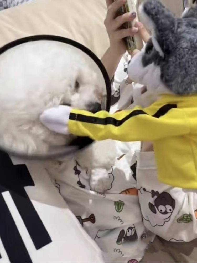 Boxing Dog Huski Toys Plush Animal Interactive Gloves Audio Puppet Dolls Decodify Funny Dolls
