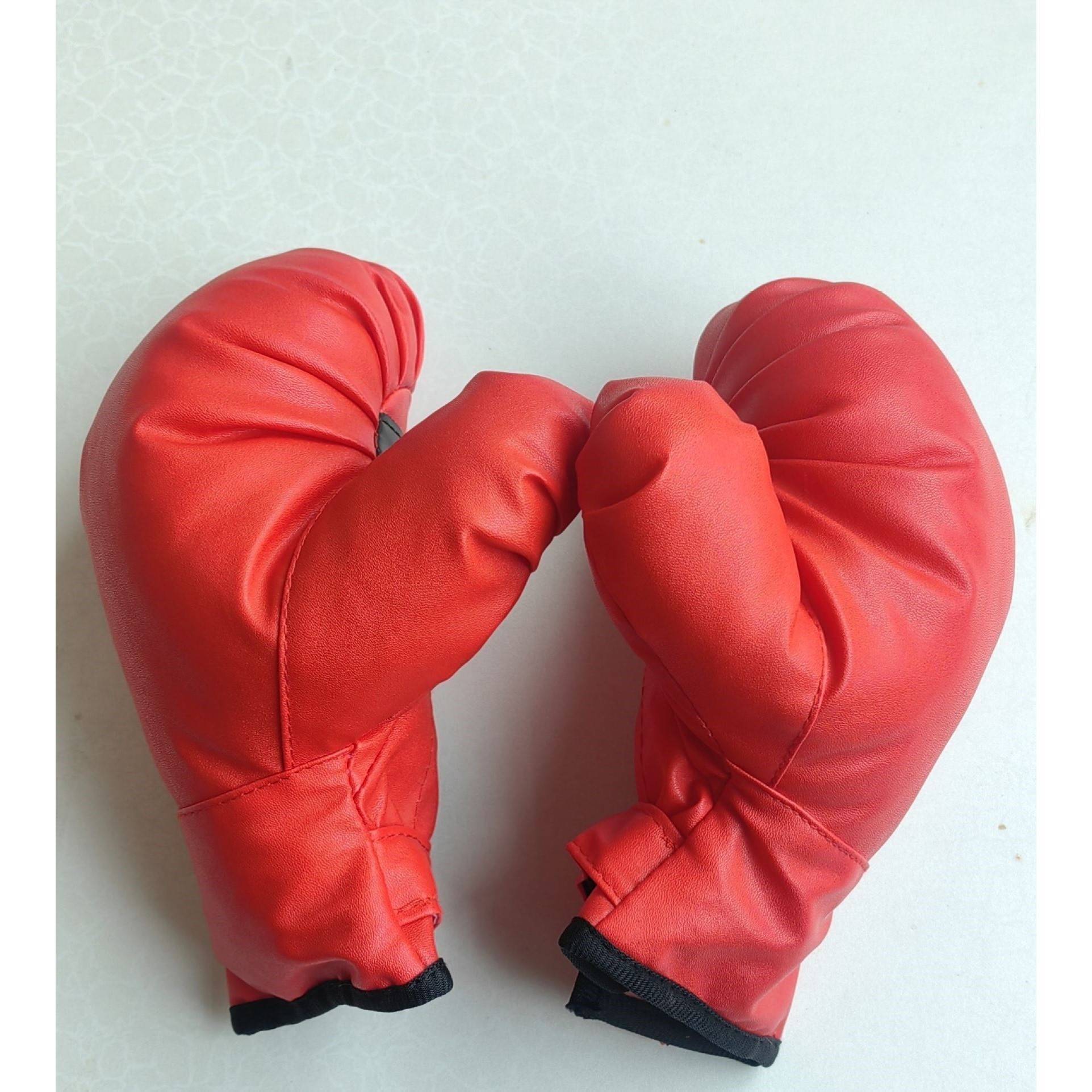L29-J65 - PROFESSIONAL BOXING GLOVES FOR ADULTS