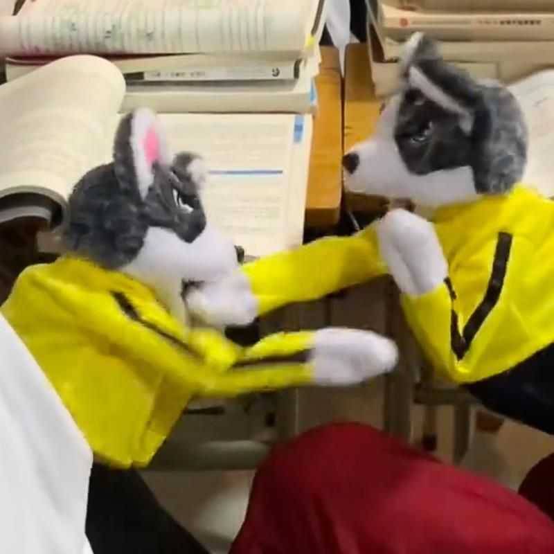 The sound of sound boxing dog plush Husky hand dual interaction, battle puppy children's toys masterpiece