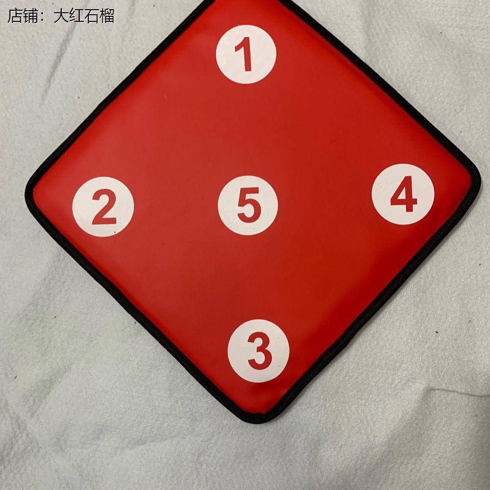 Fencing practice target training training thorns target fencing target fencing sports hanging wall target household five -hole thorns and wear resistance