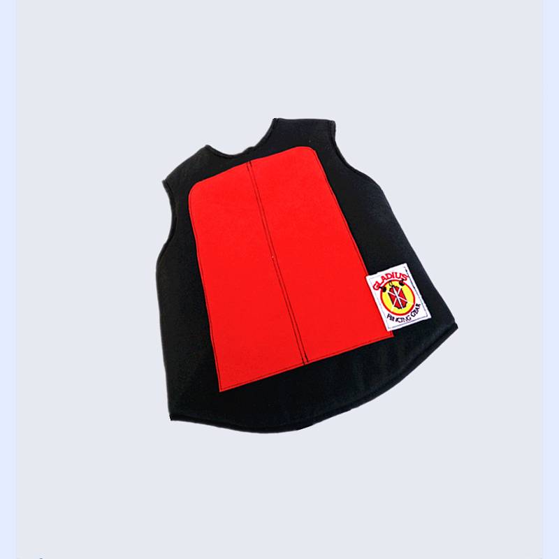 Fencing Equipment Korean Children's Canvas Training Server Experience Blood Server New Promotion Domestic