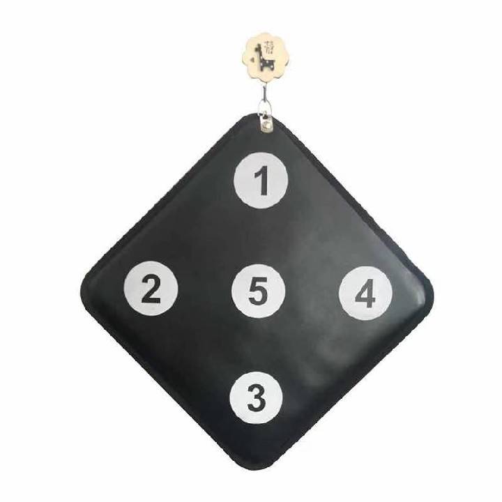 Fencing double -sided digital target children's hanging training double -sided wall target anti -piercing practice fencing target