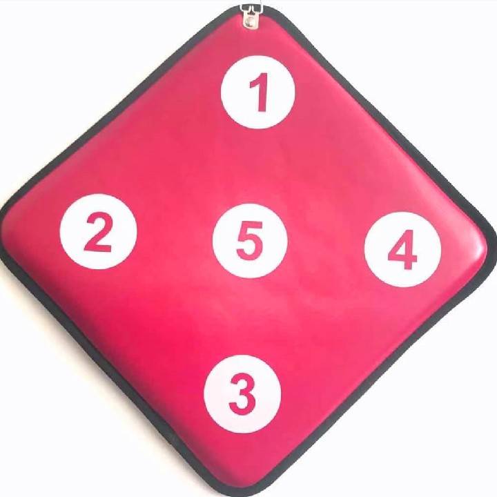 Fencing double -sided digital target children's hanging training double -sided wall target anti -piercing practice fencing target