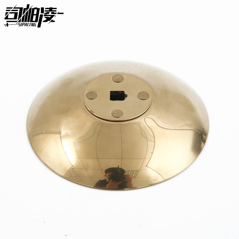 Si Pa Ling Flower Sword Protective Plate Flower Sword Professional Adult Children's Fencing Equipment Fencing Equipment