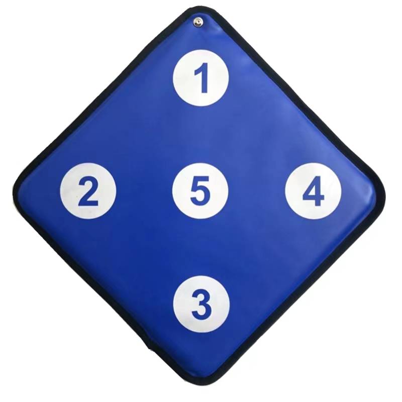 Blue Double Digital Target