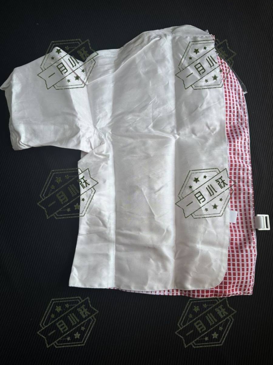 Spot Germany Allstar Osda Fencing Adult Jacket 800N Competition FIE Flower Show Sword Vest Fie