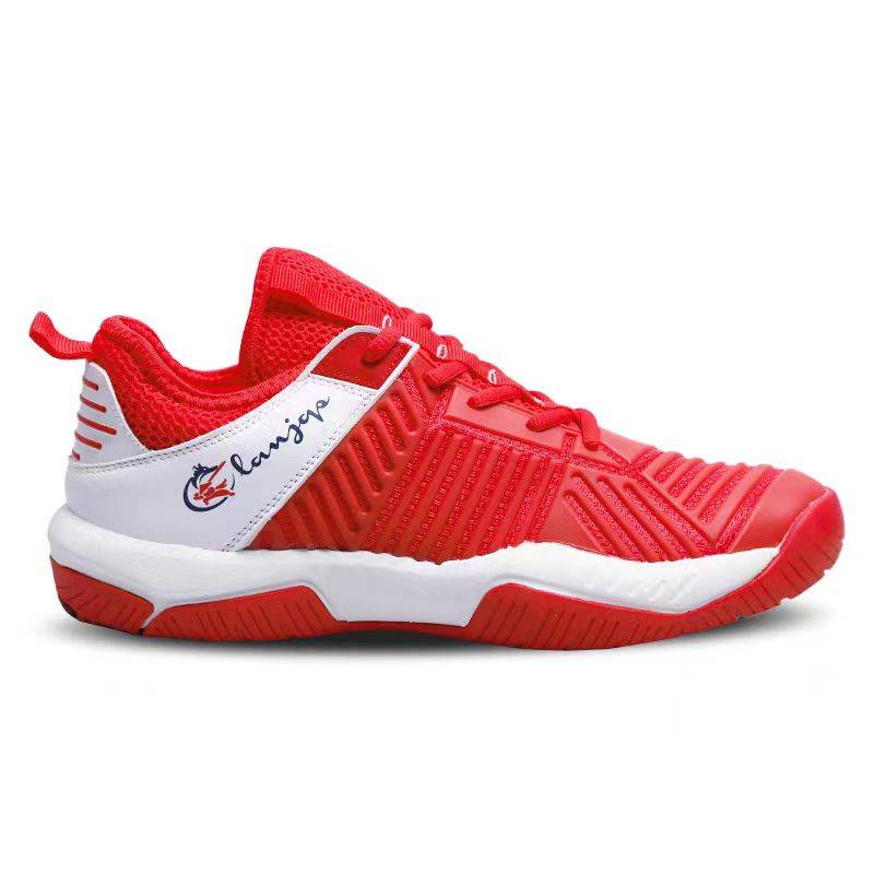 Lentok Sword Shoes, Adults Sword Shoes, many colors