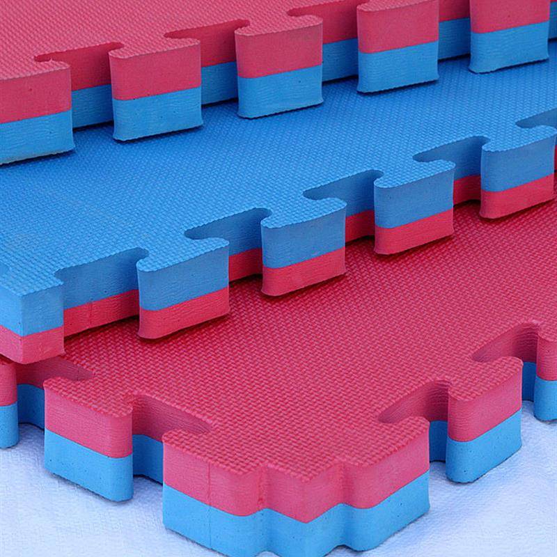 Dance Kindergarten Gymnastics Taekwondo Wrestling Judo Taekwondo Fitness House