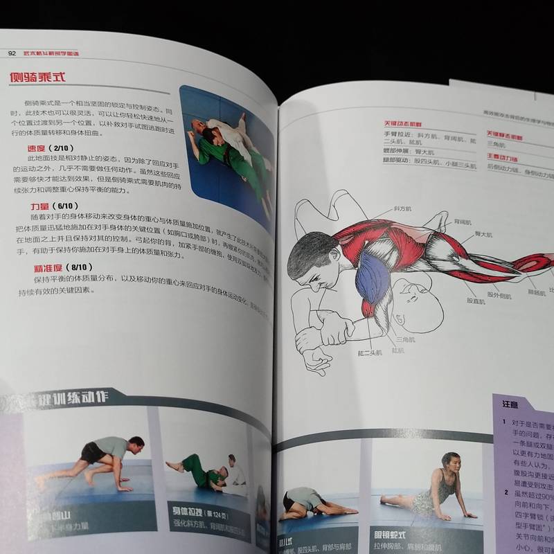 Martial arts fighting anatomy map Efficient can attack the physiology and physics traditional martial arts combination of martial arts, Taekwondo Journey, juplex karate Thai Muay Thai Kendo Beijing Science and Technology