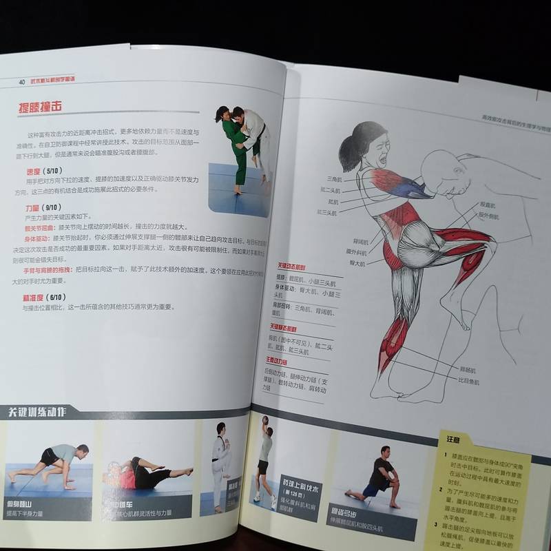 Martial arts fighting anatomy map Efficient can attack the physiology and physics traditional martial arts combination of martial arts, Taekwondo Journey, juplex karate Thai Muay Thai Kendo Beijing Science and Technology